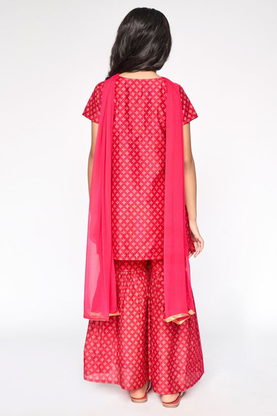 8 - Hot Pink Embroidered Straight Suit, image 8