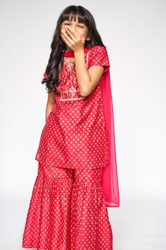 7 - Hot Pink Embroidered Straight Suit, image 7