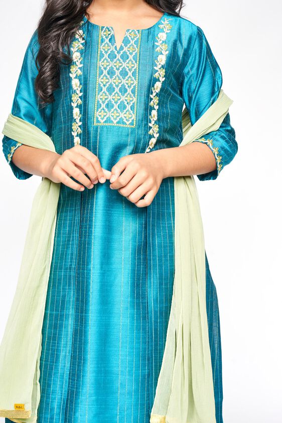 8 - Peacock Embroidered Straight Suit, image 8