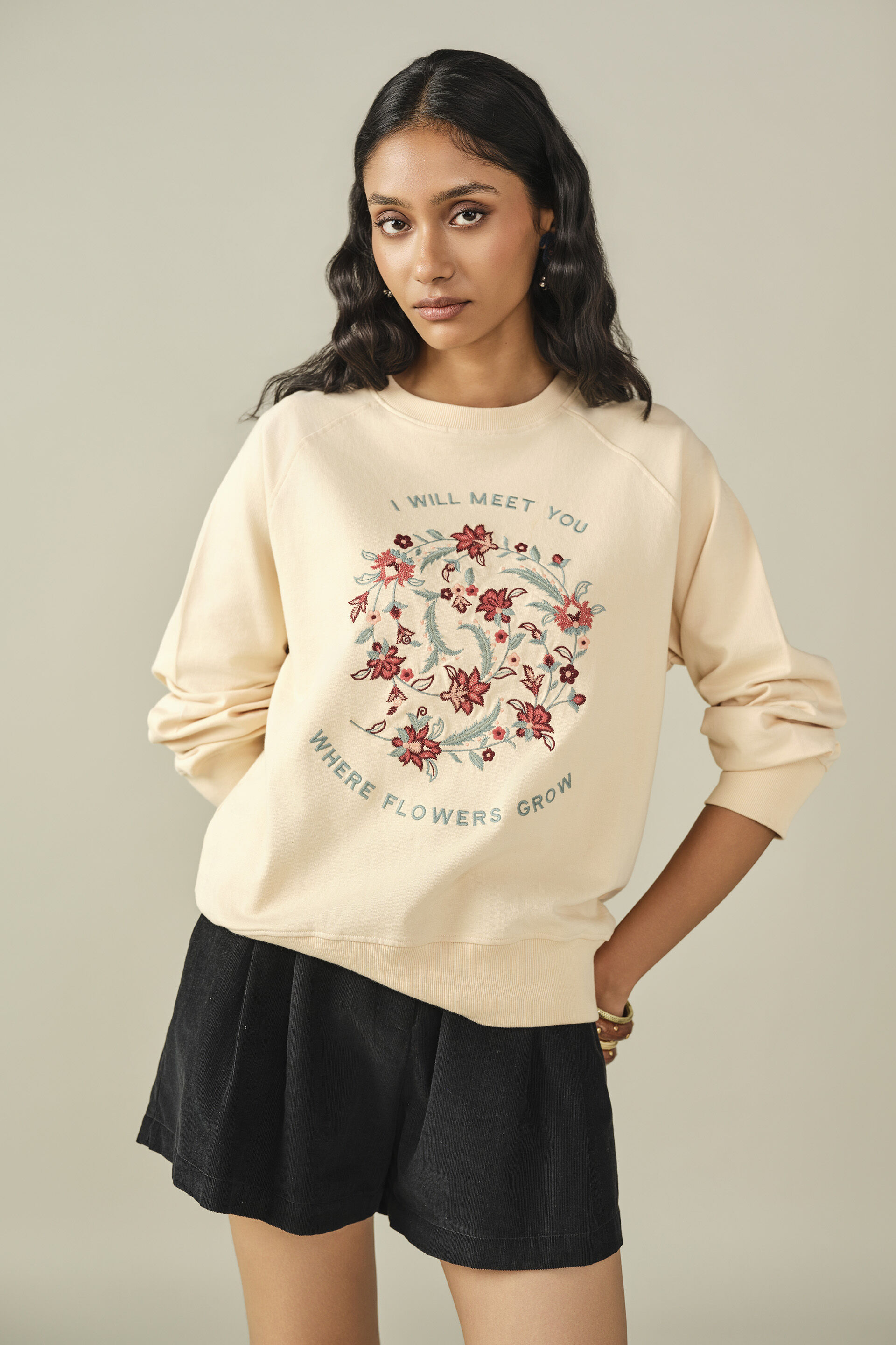 Solid Sweatshirt in Beige