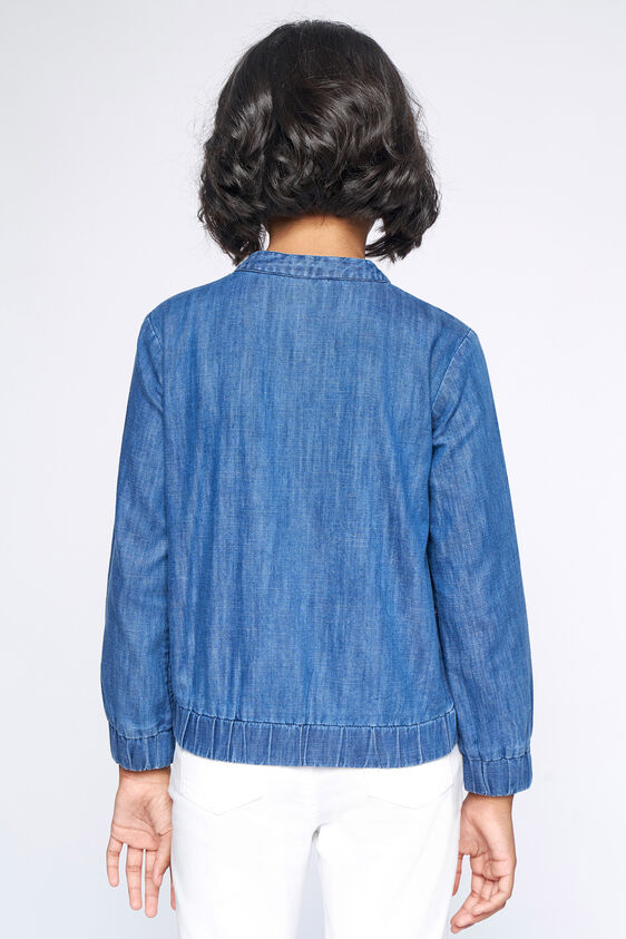 5 - Blue Embroidered Straight Jacket, image 5