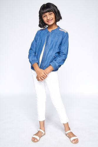 4 - Blue Embroidered Straight Jacket, image 4