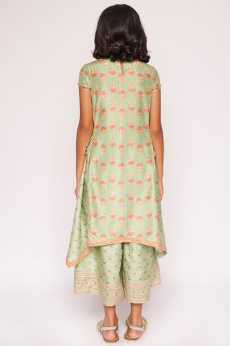 4 - Sage Green Embroidered Floral Suit, image 4