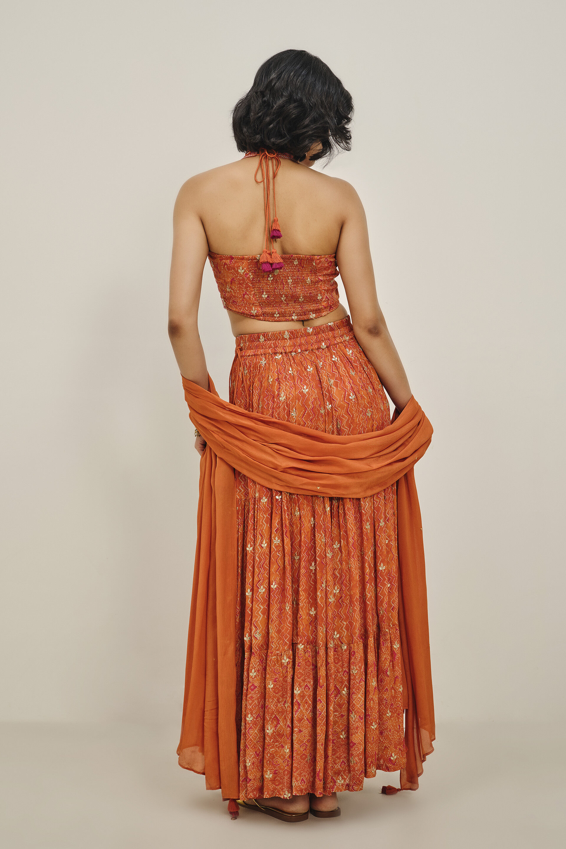 Prutha Orange Embroidered Skirt Set, Orange, image 6