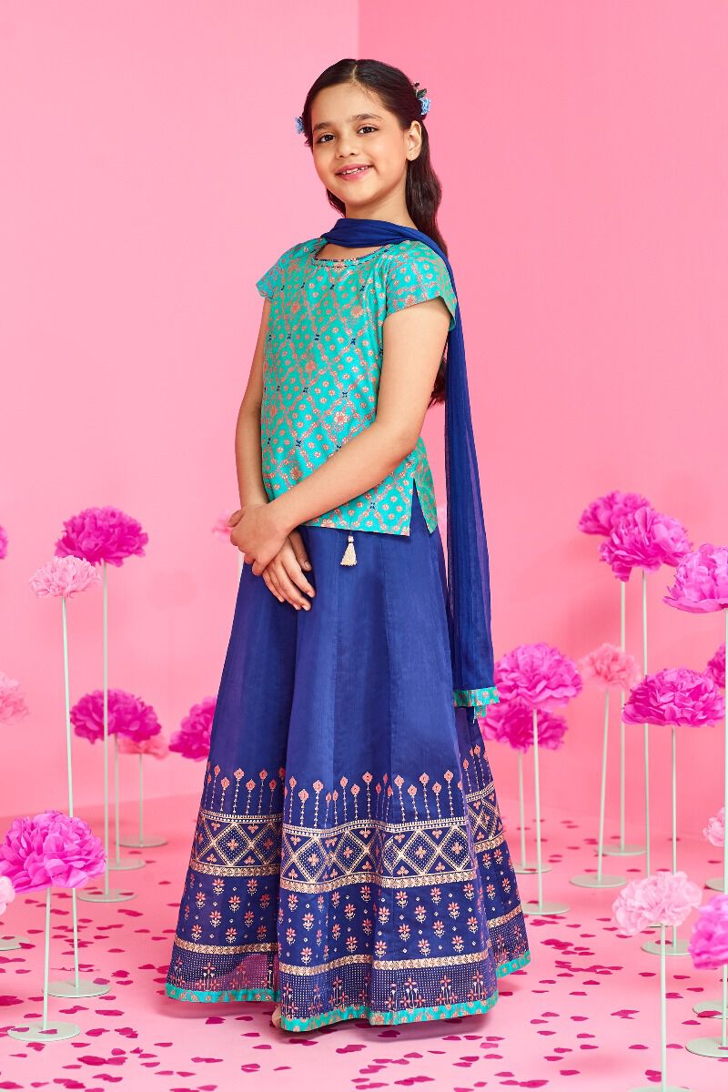 Global desi lehenga discount choli