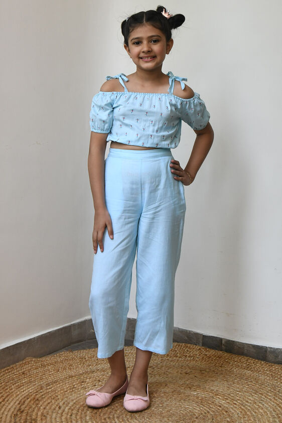 1 - Powder Blue Embroidered Solid Suit, image 1