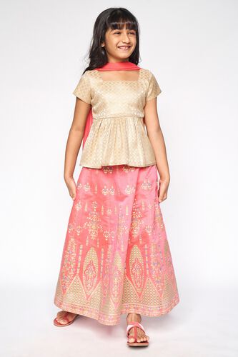 6 - Pink Embroidered Straight Suit, image 6